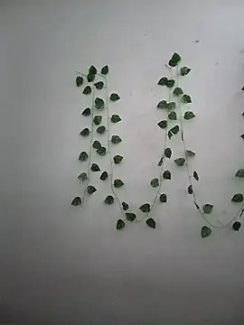 Neha-Bhabhi-Rasily online show from December 2025 07:47:02 AM