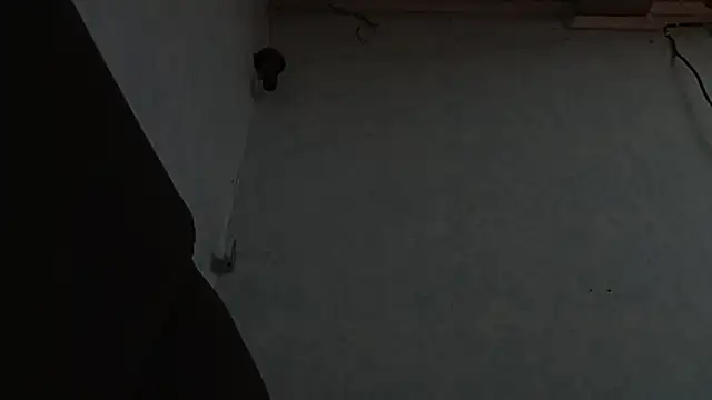 PrimordialChill6 online show from April 2026 03:59:02 AM