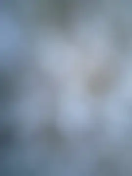 Snapshot of coolbrady17 chatting on March 2025 10:52:01 AM coolbrady17 online show from March 2025 10:52:01 AM