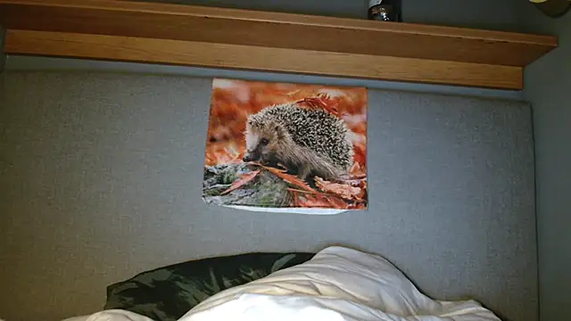 Saysay-7 online show from October 2025 05:33:02 PM