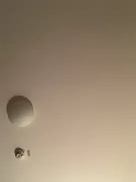 Saysay-7 online show from November 2025 11:26:01 PM