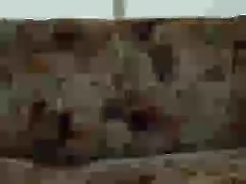 priya patel online show from September 2025 07:19:01 AM