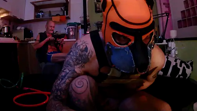 danix wild wolf online show from May 2026 12:41:01 AM