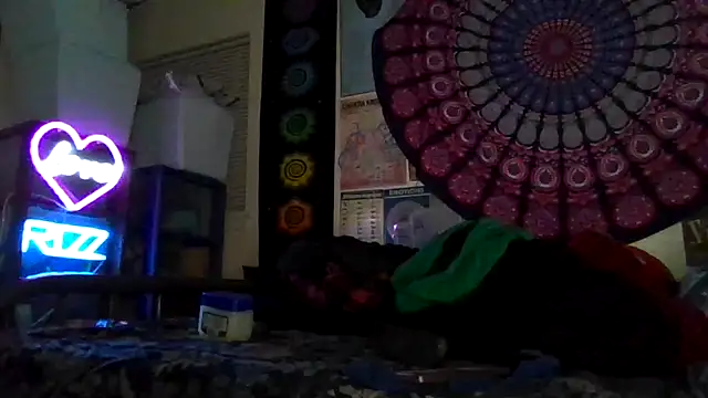 GardeniaFields online show from March 2026 10:10:01 AM