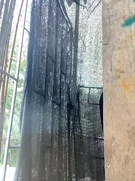 val zx online show from March 2026 05:56:01 PM