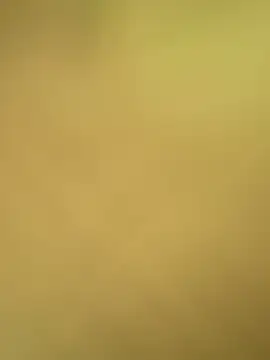 val zx online show from April 2026 01:57:02 PM