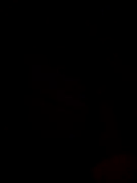 Ricopalote22 online show from September 2025 09:16:02 PM