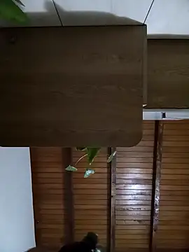 Sexi girl29 online show from October 2025 09:16:01 AM