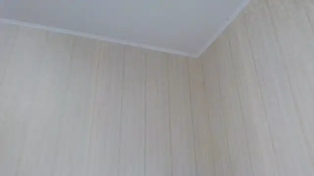  Black-Panther  online show from October 2025 10:55:01 AM