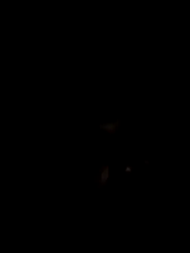 John96999 online show from March 2025 12:12:01 AM