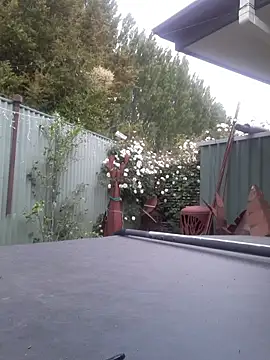 TAIZ69WORLD online show from November 2025 06:24:02 AM