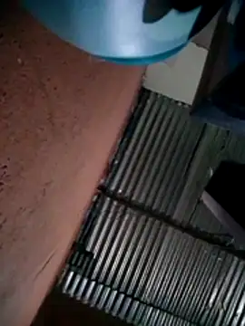 Snapshot of 317894 chatting on October 2025 03:25:01 AM 317894 online show from October 2025 03:25:01 AM