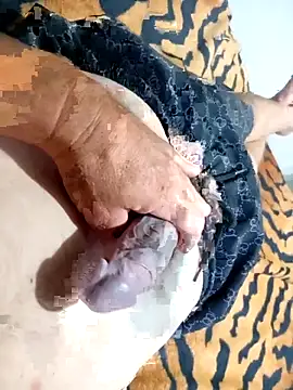 Dglo0000 online show from November 2025 08:51:05 AM