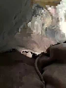 bambi lu online show from March 2026 06:59:01 PM