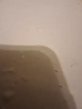 moasslicker online show from October 2025 04:46:01 AM