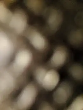 geilerschwanz556r7 online show from September 2025 08:52:02 AM