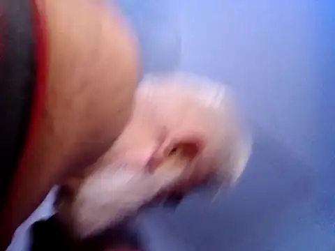 Snapshot of CloudyMuscleBeefy chatting on November 2025 05:58:02 PM CloudyMuscleBeefy online show from November 2025 05:58:02 PM