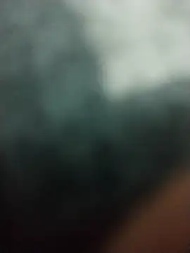 Elonmo online show from March 2026 12:45:01 PM