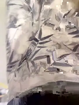 xiaoyuan01 online show from October 2025 01:37:01 AM