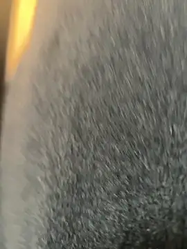 xiaoyuan01 online show from March 2026 02:04:01 AM