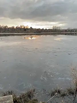 Snapshot of elliot_scott chatting on October 2025 10:37:01 AM elliot scott online show from October 2025 10:37:01 AM