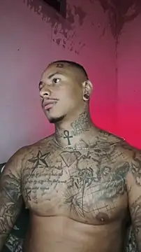 David tatto1 online show from February 2026 03:58:01 AM