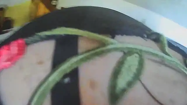 VanessaSissyGay online show from November 2025 11:01:02 AM