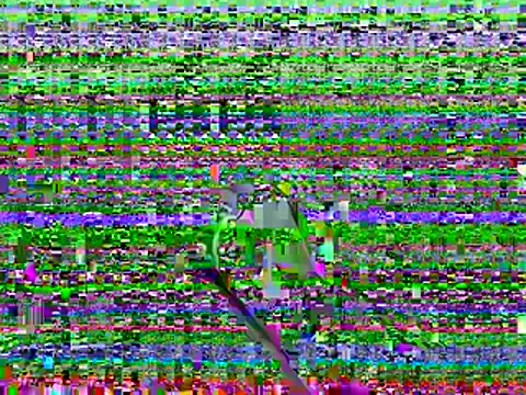 Snapshot of qnawafp chatting on August 2026 03:42:01 AM qnawafp online show from August 2026 03:42:01 AM