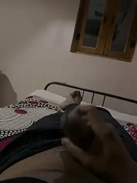 tippytop 311 online show from October 2025 07:56:02 PM