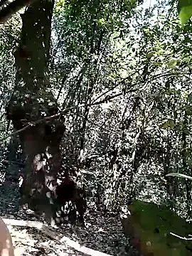 KalendaXL online show from April 2026 11:57:02 AM