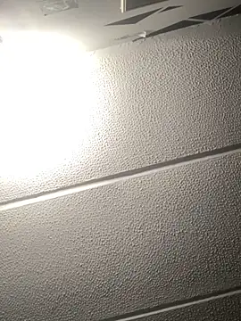 malek xarx  online show from September 2025 03:17:02 AM