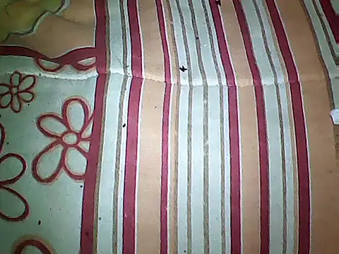 Snapshot of 20cmloiro chatting on September 2025 03:51:01 AM 20cmloiro online show from September 2025 03:51:01 AM