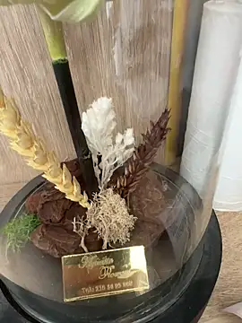 Snapshot of Mrdim26 chatting on October 2025 12:58:01 PM Mrdim26 online show from October 2025 12:58:01 PM