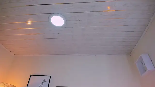 LusyKitty online show from December 2025 03:40:02 PM