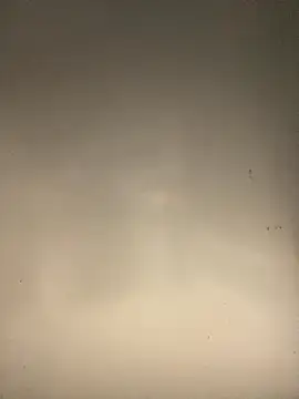 sasatimido online show from October 2025 03:13:01 PM