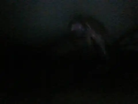 itachi thebro1 online show from June 2026 04:12:02 AM