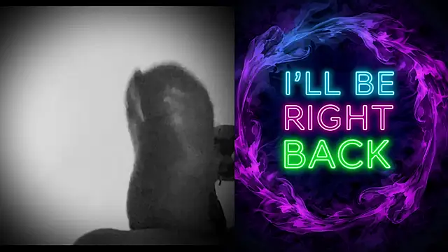 DjDiCKmannOnE online show from January 2026 10:37:02 PM