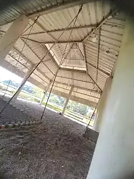 Desi Horny Boys online show from October 2025 08:26:01 AM