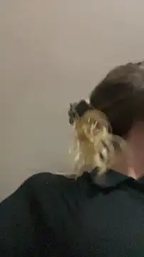 blond-96 online show from April 2026 04:32:02 AM