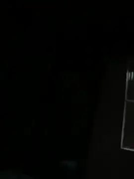 PIROCAGG21 online show from January 2026 08:19:01 AM