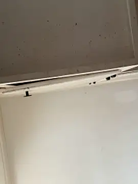 curis4270panda online show from February 2026 07:54:01 PM