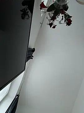 SexyLeon8 online show from January 2026 03:06:01 PM