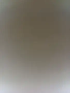 ToughDraft14 online show from November 2025 03:44:01 PM