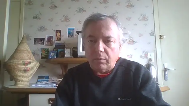 gegevincent online show from May 2026 11:18:02 AM