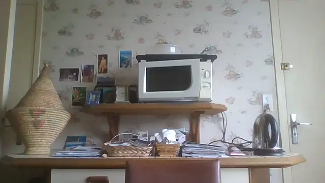 gegevincent online show from May 2026 08:20:01 AM