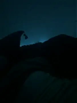 bjarson123 online show from February 2026 10:53:02 AM