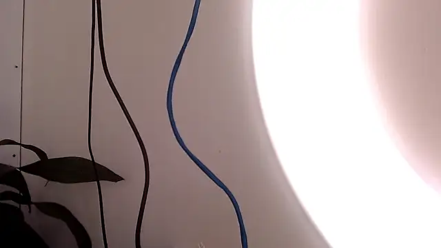 saara johnson496 online show from September 2025 03:15:01 PM