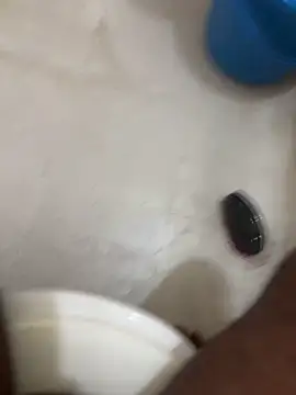 pussy hunter0 online show from July 2026 02:22:01 AM