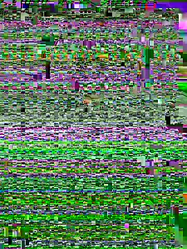 Snapshot of ASSERINAAA chatting on July 2026 06:28:01 AM ASSERINAAA online show from July 2026 06:28:01 AM