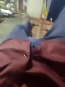 Telugu person12 online show from March 2026 03:38:02 PM